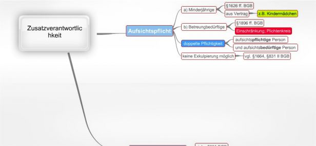 Schema Zusatzverantwortlichkeit